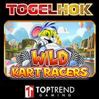 Wild Kart Racers